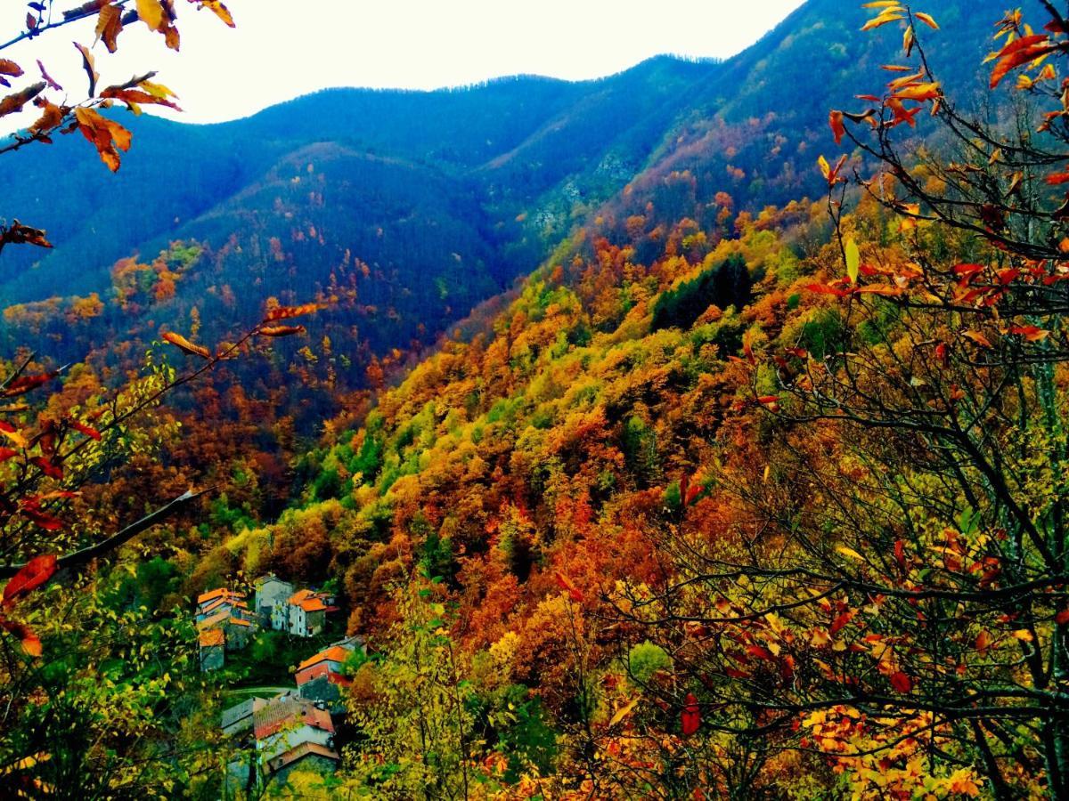 B&B La Presa Molino del Pallone Экстерьер фото